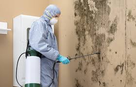 Best Biohazard Mold Removal  in Shelbina, MO